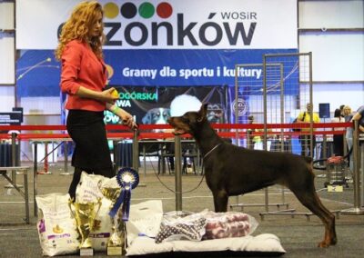 Szkoła Handlingu Centrum Rehabilitacji Zwierząt Dolbia
